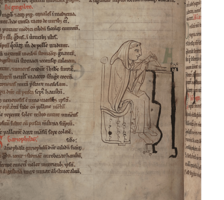Itinerarium peregrinorum et gesta regis Ricardi, Cambridge MS Ff.1.25.4 f. 126v, England, ca. 1240-1260.